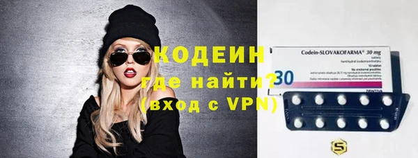 трава Коряжма