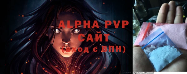 трава Коряжма