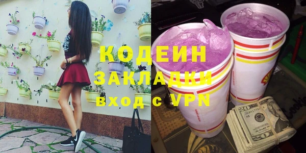 трава Коряжма