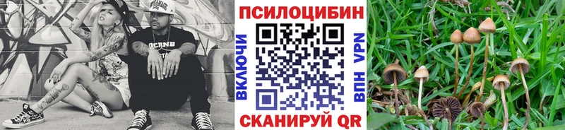 где можно купить наркотик  Кувандык  Галлюциногенные грибы мухоморы 