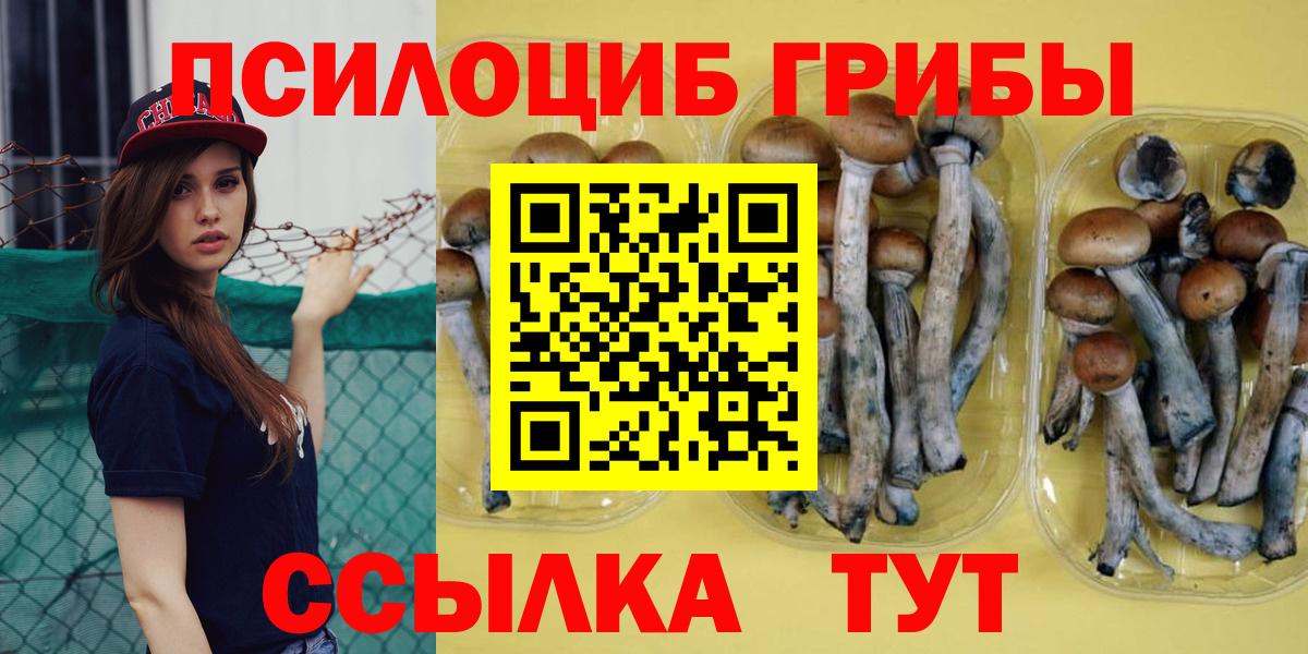 Кувандык  Галлюциногенные грибы мухоморы  Галлюциногенные грибы Psilocybine cubensis  Вход с VPN 