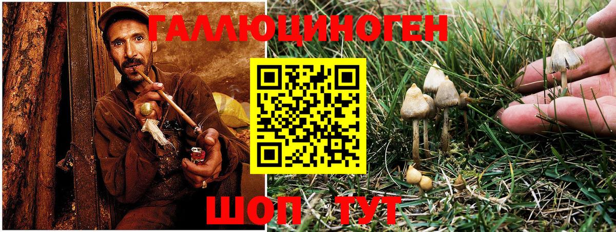 Галлюциногенные грибы Cubensis Кувандык